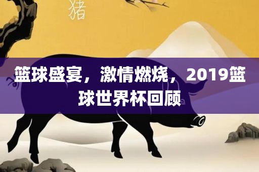 篮球盛宴，激情燃烧，2019篮球世界杯回顾金炬实业股份有限公司