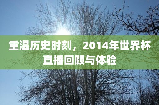 重温历史时刻，2014年世界杯直播回顾与体验金炬实业股份有限公司