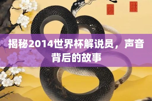 揭秘2014世界杯解说员，声音背后的故事金炬实业股份有限公司
