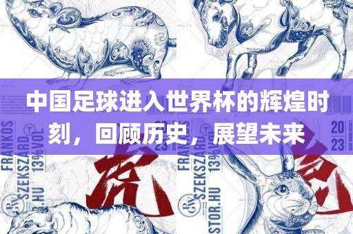 中国足球进入世界杯的辉煌时刻，回顾历史，展望未来金炬实业股份有限公司