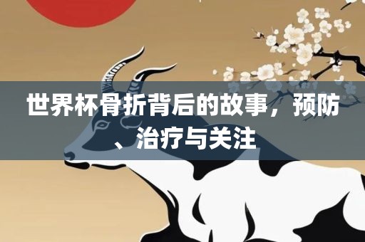 世界杯骨折背后的故事，预防、治疗与关注金炬实业股份有限公司