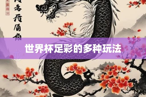 世界杯足彩的多种玩法