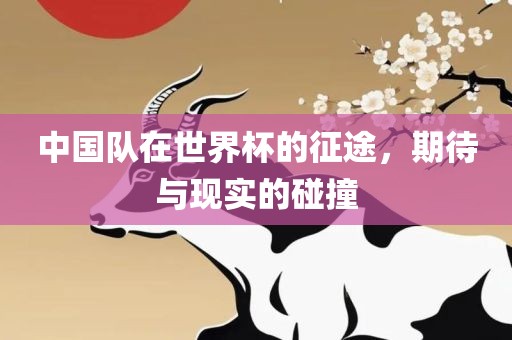 中国队在世界杯的征途，期待与现实的碰撞