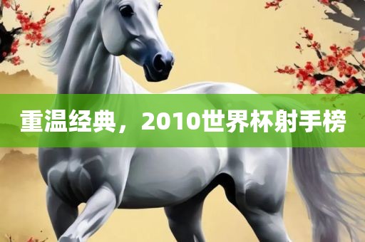 重温经典，2010世界杯射手榜