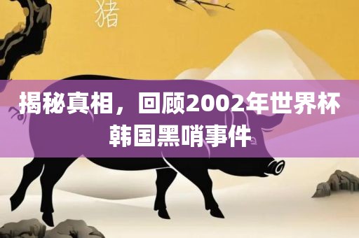 揭秘真相，回顾2002年世界杯韩国黑哨事件