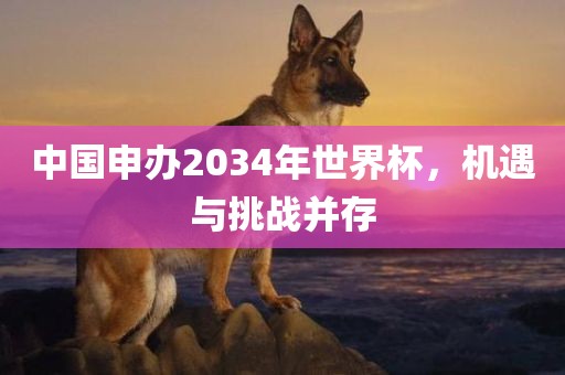 中国申办2034年世界杯，机遇与挑战并存