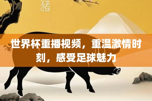 世界杯重播视频，重温激情时刻，感受足球魅力金炬实业股份有限公司