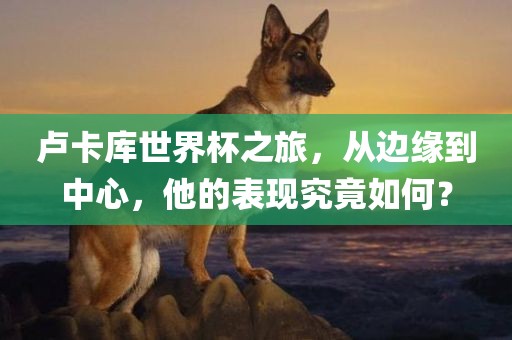 卢卡库世界杯之旅，从边金炬实业股份有限公司缘到中心，他的表现究竟如何？