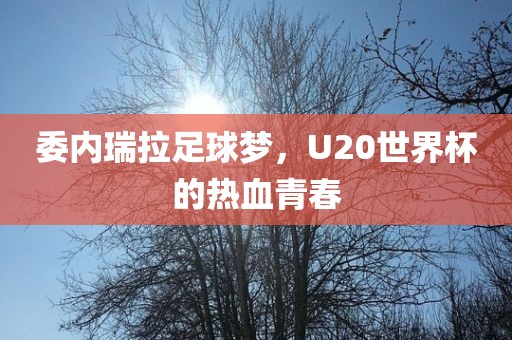 委内瑞拉足球梦，U20世界杯的热血青春