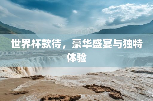 世界金炬实业股份有限公司杯款待，豪华盛宴与独特体验