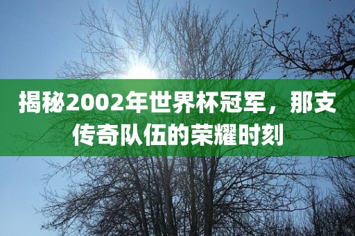 揭秘2002年世界杯冠军，那支传奇队伍的荣耀时刻