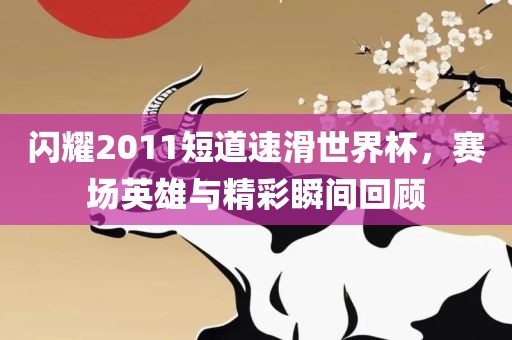 闪耀2011短道速滑世界杯，赛场英雄与精彩瞬间回顾