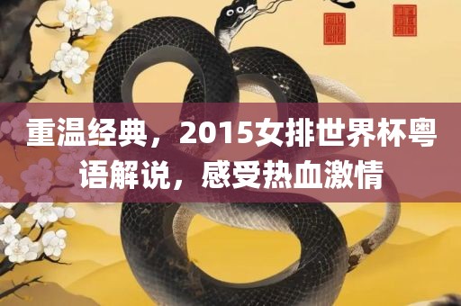 重温经典，2015女排世界杯粤语解说，感受热血激情