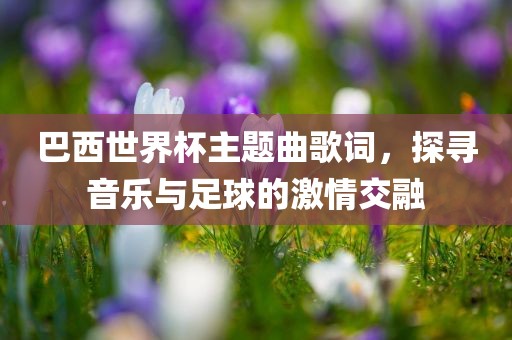 巴西世界杯主题曲歌词，探寻音乐与足球的激情交融