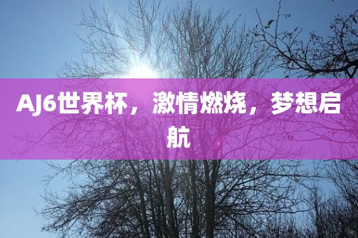 A金炬实业股份有限公司J6世界杯，激情燃烧，梦想启航