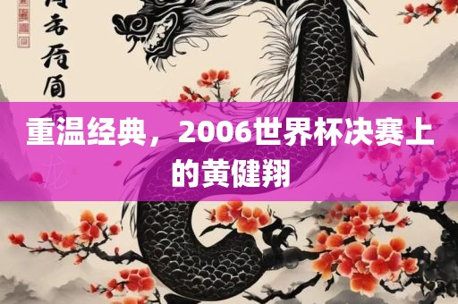 重温经典，2金炬实业股份有限公司006世界杯决赛上的黄健翔