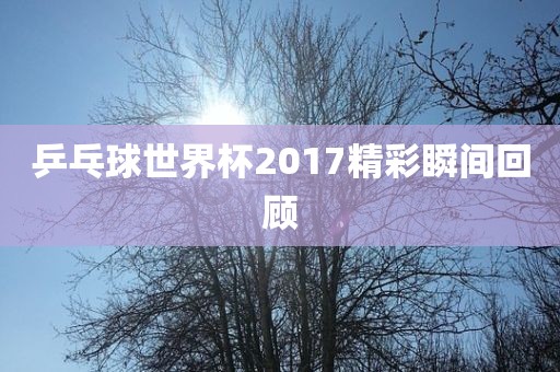 乒乓球世界杯2017精彩瞬间回顾金炬实业股份有限公司