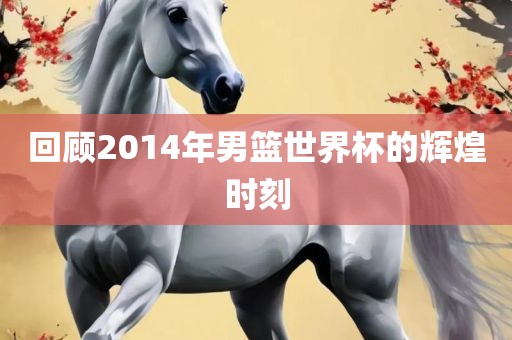 回顾2014年男篮世界杯的辉煌时刻金炬实业股份有限公司