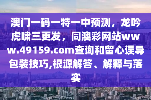 世界杯球迷照片，记录激情与荣耀的瞬间