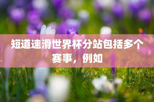 短道速滑金炬实业股份有限公司世界杯分站包括多个赛事，例如