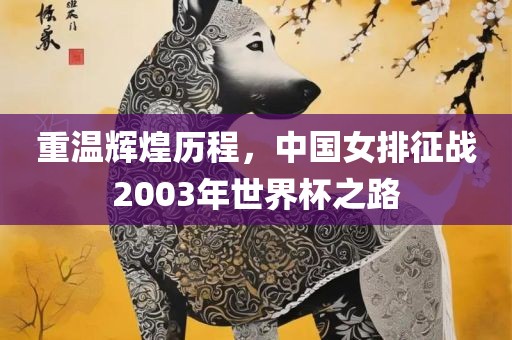 重温辉煌历程，中国女排征战2003年世界杯之路