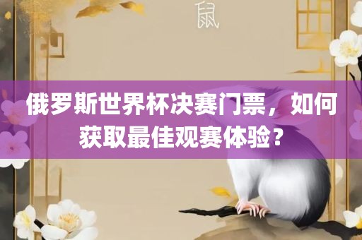 俄罗斯世界杯决赛门票，如何获取最佳观赛体验？