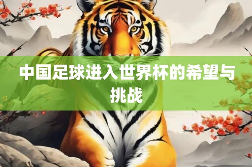 中国足球进入世界杯的希望与挑战金炬实业股份有限公司