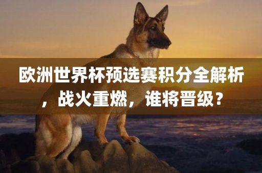 欧洲世界杯预选赛积分全解析，战火重燃，谁将晋级？