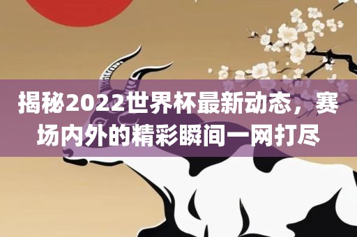 揭秘2022世界杯最新动态，赛场内外的精彩瞬间一网打尽