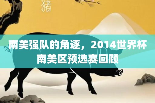 南美强队的角逐，2014世界杯南美区预选赛回顾金炬实业股份有限公司