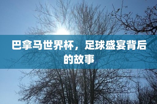 巴拿马世界杯，足球盛宴背后的故事金炬实业股份有限公司
