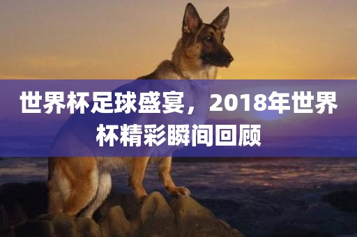 世界杯足球盛宴，2018年世界杯精彩瞬间回顾金炬实业股份有限公司