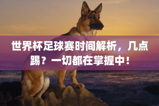 世界杯足球赛时间解析，几点踢？一切都在掌握中！金炬实业股份有限公司
