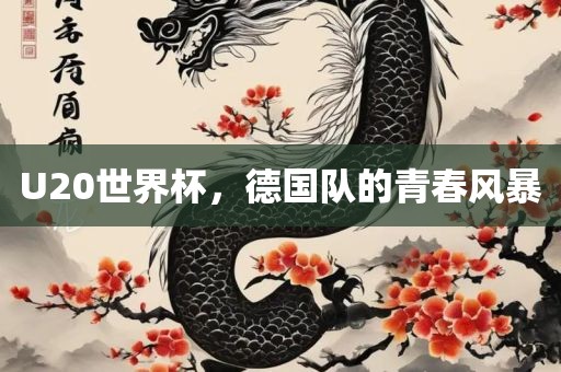 U20世界杯，德国队的青春风暴