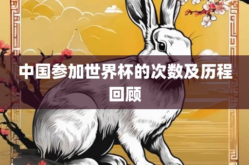 中国参加世界杯的次数及历程回顾