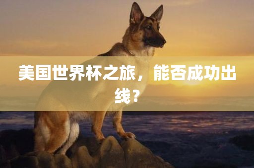 美国世界杯之旅，能否成功出线？金炬实业股份有限公司