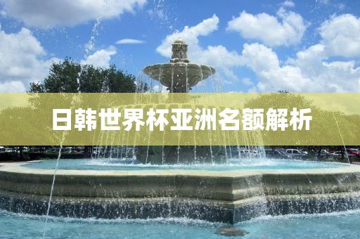 日韩世界杯亚洲名额解析