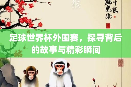 足球世界杯外围赛，探寻背后的故事与精彩瞬间