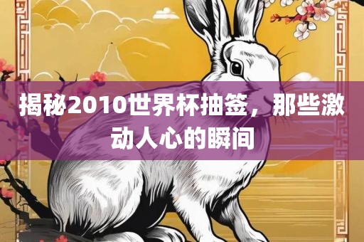 揭秘2010世界杯抽签，那些激动人心的瞬间金炬实业股份有限公司