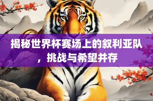 揭秘世界杯赛场上的叙利亚队，挑战与希望并存