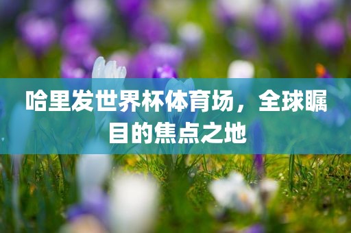 哈里发世界杯体育场，全球瞩目的焦点之地金炬实业股份有限公司