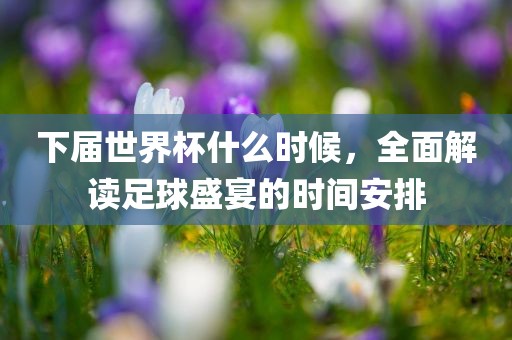 下届世界杯什么时候，全面解读足球盛宴的时间安排