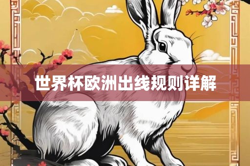 世界杯欧洲出线规则详解