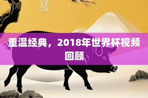 重温经典，2018年世界杯视频回顾金炬实业股份有限公司