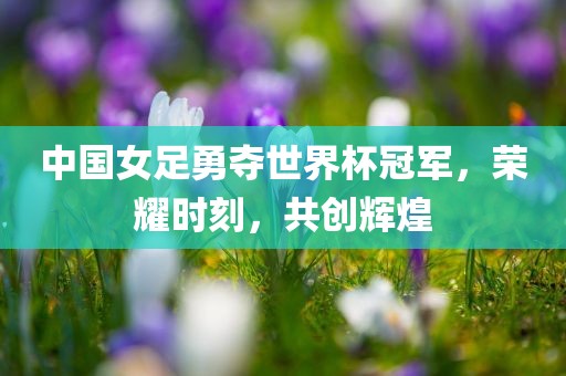 中国女足勇夺世界杯冠军，荣耀时刻，共创辉煌金炬实业股份有限公司