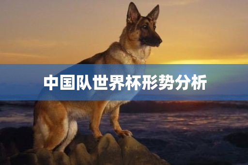 中国队世界杯形势分析金炬实业股份有限公司