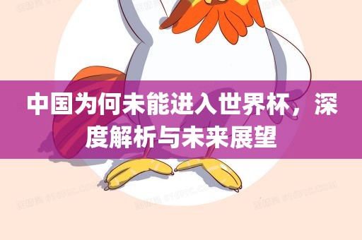 中国为何未能进入世界杯，深度解析与未来展望