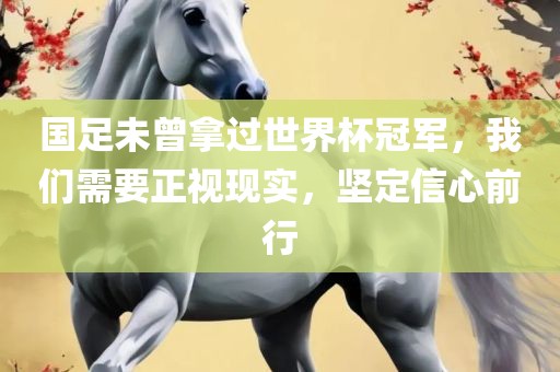 国足未曾拿过世界杯冠军，我们需要正视现实，坚定信心前行金炬实业股份有限公司