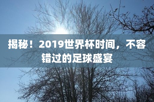 揭秘！2019世界杯时间，不容金炬实业股份有限公司错过的足球盛宴