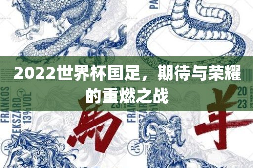 202金炬实业股份有限公司2世界杯国足，期待与荣耀的重燃之战